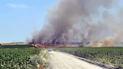 Kırklareli'nde buğday tarlasında yangın: 500 dönüm kül oldu