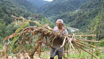 Atandığı ülkeye gidemeyen büyükelçi, kendini bahçe işlerine verdi