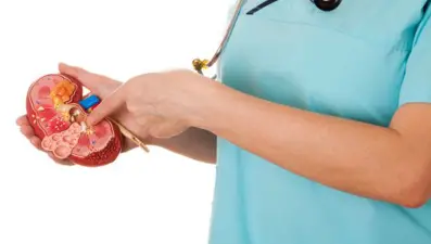 Böbrek taşı erkeklerde daha fazla görülüyor