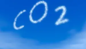 Devlerin "karbon karnesi"