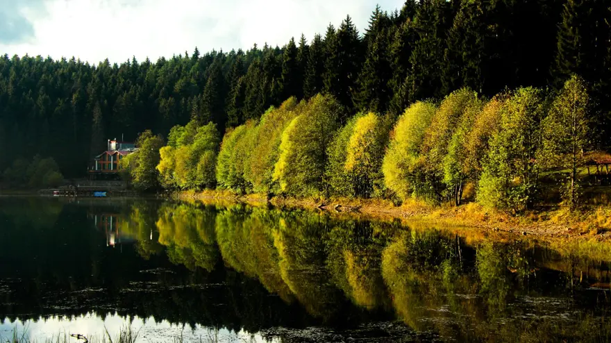 'Sakin Şehir' Şavşat'ta sonbahar güzelliği 9