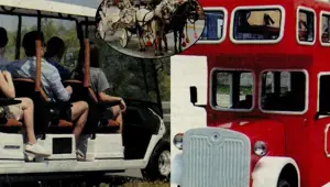 Fayton gidecek elektrikli araçlar gelecek (Adalar'daki kriz)
