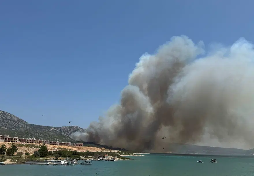 İzmir'de orman yangını: İki ev zarar gördü 4