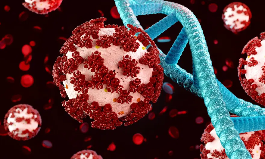 Covid-19 laboratuvarda mı geliştirildi? FBI'ın gizlenen kanıtları ortaya çıktı 3
