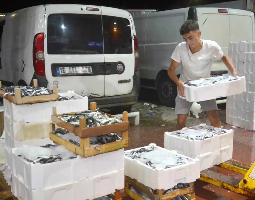 Balık sezonu başladı, fiyatlar yarı yarıya düştü (Güncel balık fiyatları: Palamut, hamsi, istavrit, çipura...) 6 Balık sezonu başladı, fiyatlar yarı yarıya düştü (Güncel balık fiyatları: Palamut, hamsi, istavrit, çipura...) 6