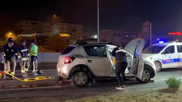 Yol ortasına otururken otomobil çarptı