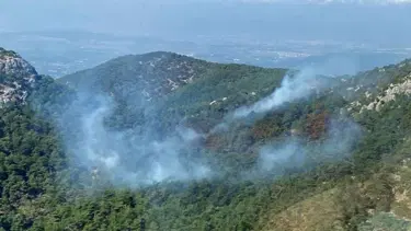İzmir’de iki noktada orman yangını (Alevler kontrol altına alındı)