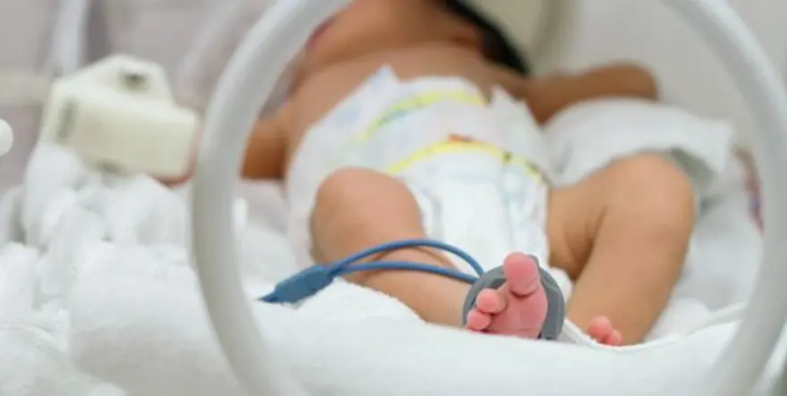 YENİ REHBER HAZIRLANACAK 2