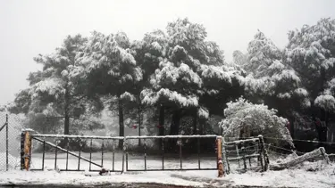 Orta Karadeniz'in iç kesimi ve Kastamonu için kuvvetli kar yağışı uyarısı