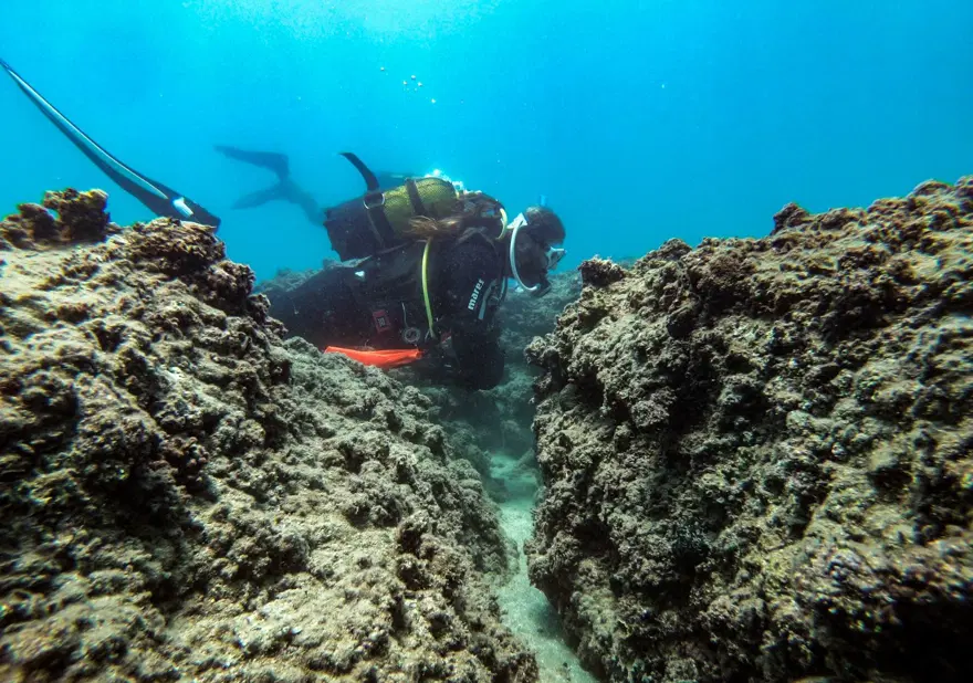 Fotoğraf tutkunu dalgıçlar, Mersin kıyılarındaki su altı kanyonlarını görüntülüyor 17