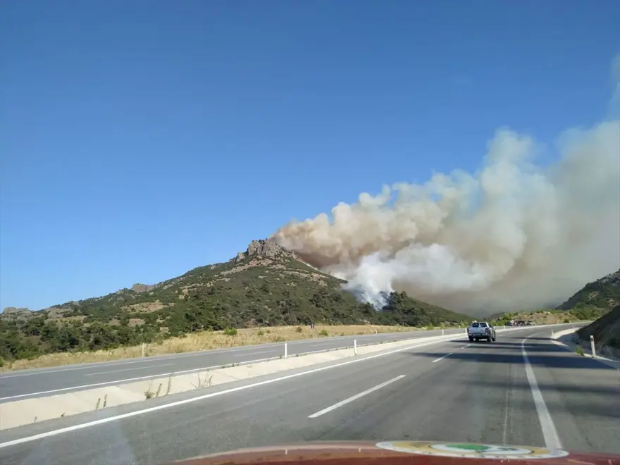 Balıkesir'de orman yangını 