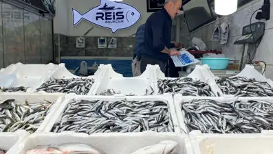 Fiyatlar hareketlendi: Tezgahta en çok satılan balık