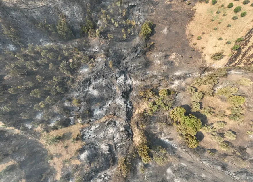 Çanakkale'de orman yangını kontrol altında 92