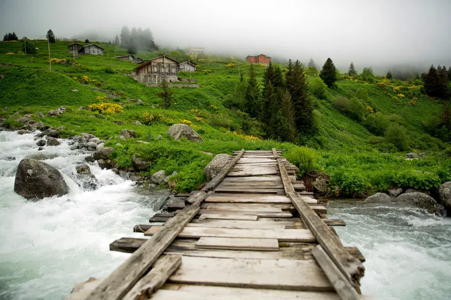 elevit yaylası, doğu karadeniz yaylaları, rize yaylaları, en güzel yaylalar 9
