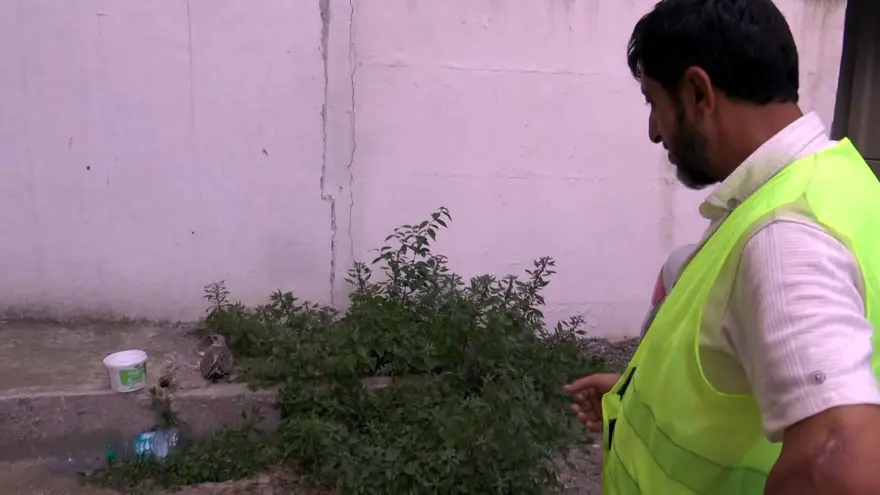 Kentsel dönüşümde 12 saatlik martı kurtarma operasyonu 5