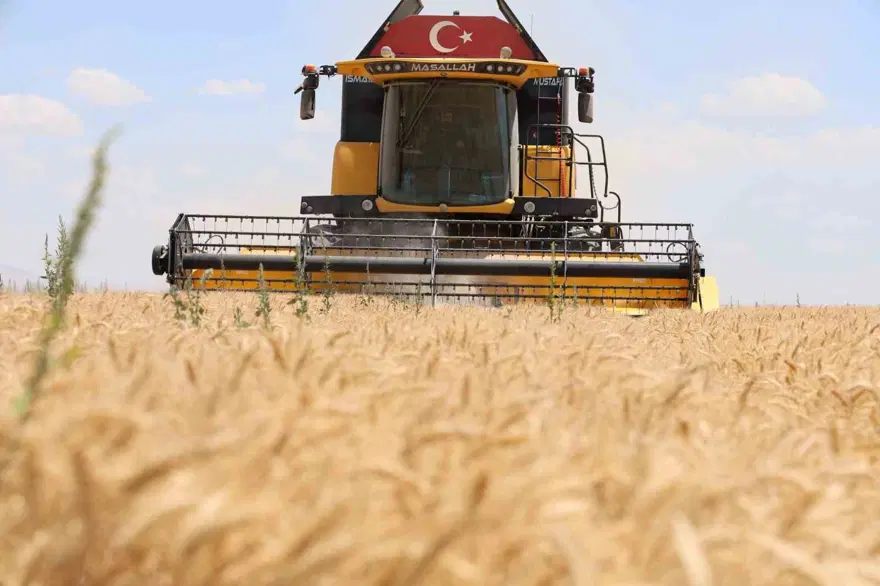 2024 BUĞDAY FİYATLARI 2
