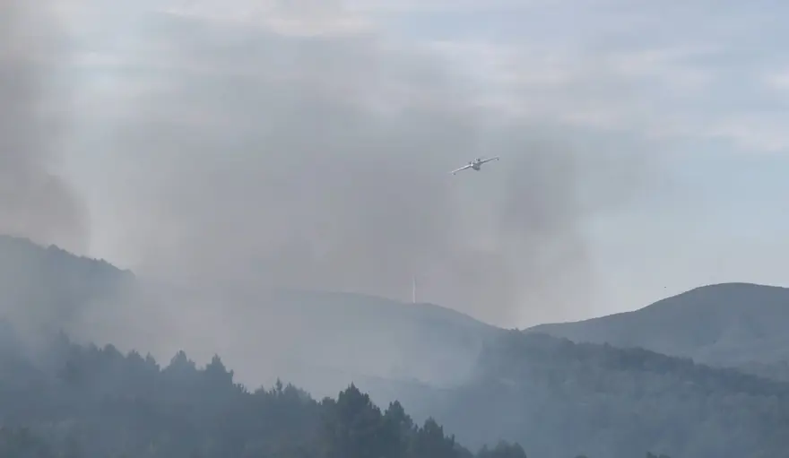 15 yıldır yangın çıkmamıştı: Armutlu'da ormanlar, 8 günde 3 kez yandı 