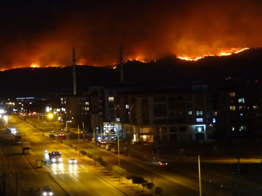 Çanakkale'de orman yangını kontrol altında 81