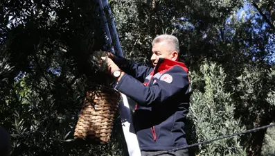 Dalından tek tek topladılar: "Üstün Lezzet Ödülü" kazanmıştı