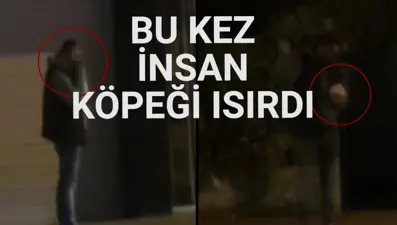 Kucağındaki yavru köpeği ısırıp dövdü