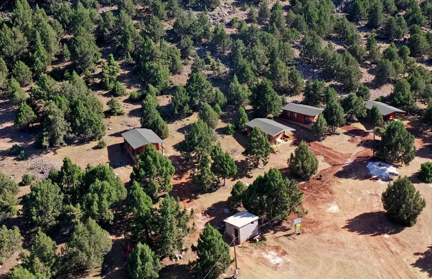 Konya'nın 'yayla cenneti' Anamas Dağı 4