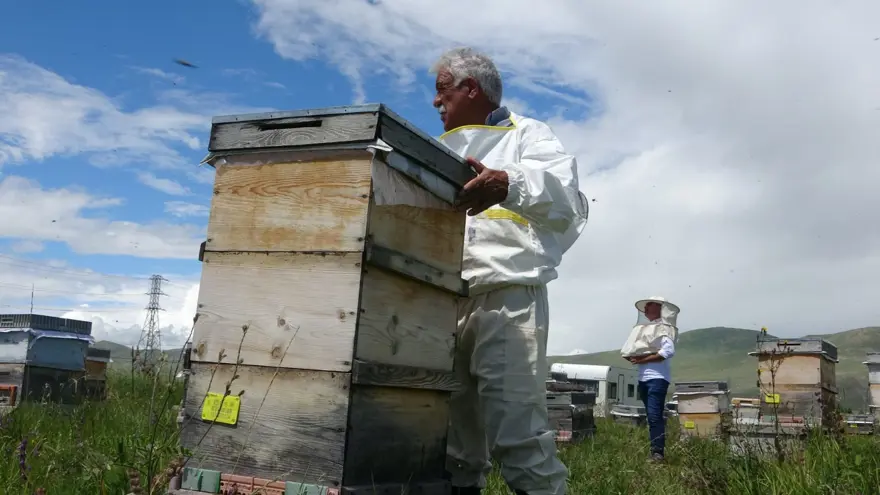 Hobi olarak bu işe başladı! Fiyatı dudak uçuklatıyor 6