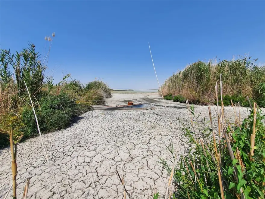 Konya'daki araştırmaya göre, vahşi sulama Akşehir ve Eber göllerini yok edebilir 4