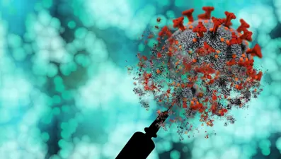 Gana'da 34 M-çiçeği vakası tespit edildi