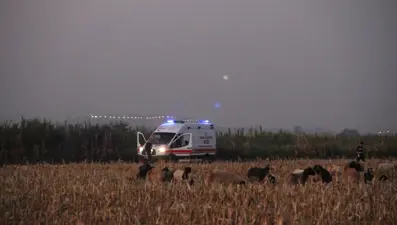 Hatay'da çobanlar arasında silahlı kavga: 1 ölü, 1 yaralı