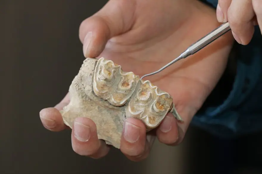 Tatarlı Höyük'te Orta Demir Çağ'a ait depolama alanı bulundu 15 Tatarlı Höyük'te Orta Demir Çağ'a ait depolama alanı bulundu 15