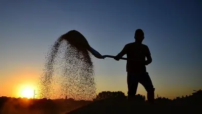 Mart ayı mazot ve gübre desteği ödemeleri: 2025 mazot ve gübre desteği ne zaman ödenecek?