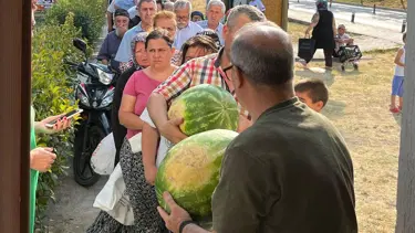 Hasat başladı, tarlada kaldı: Bedava dağıttılar