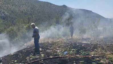 Çalılık yangını ormana sıçradı