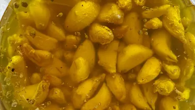 Karaciğeri yeniliyor, toksinleri atıyor: Antioksidan deposu besin