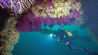 Çanakkale Boğazı'nda tarihi batıklara dalış turizmi başladı