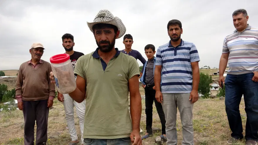 'HAVALAR ISININCA TAŞ ALTINA GİZLENİRLER' 5