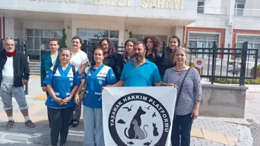 Köpeğe cinsel saldırı sanığına 1 yıl 9 ay hapis ve para cezası