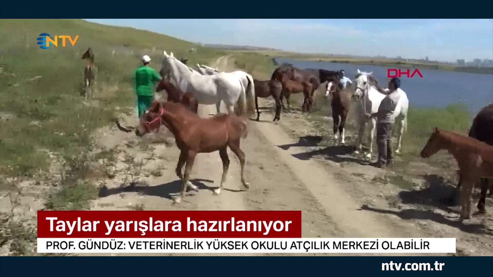 Taylar anneleriyle buluştu