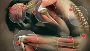 Böcek ilacı parkinson riskini artırıyor