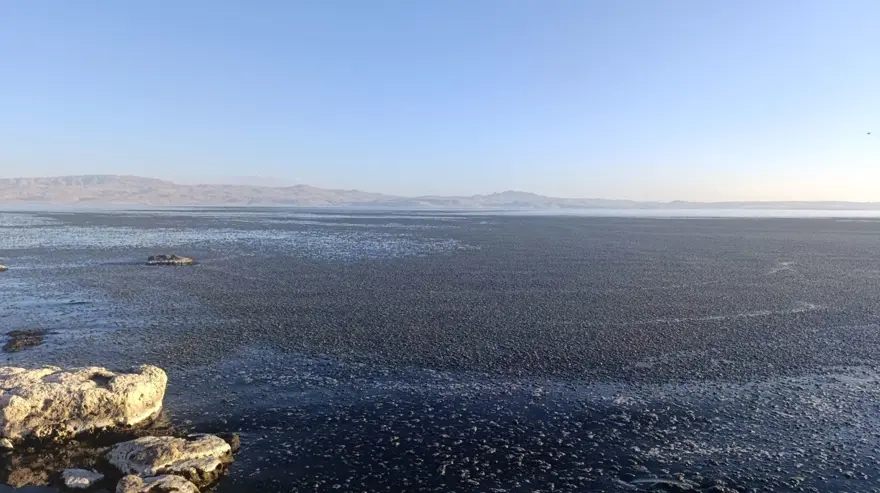 "TEK BİR DAMLA KİRLİ SU DAHİ ÇOK FAZLA" 4 "TEK BİR DAMLA KİRLİ SU DAHİ ÇOK FAZLA" 4