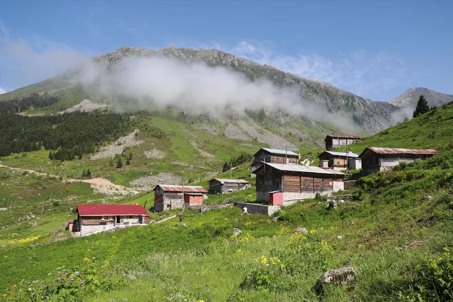 Karadeniz'in yeni gözdesi 'Elevit Yaylası' ziyaretçilerine nefes oluyor 8