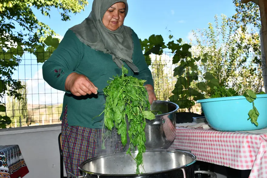 Taze naneden üretiliyor, 1 kaşığı nefes açıyor: Şişesi 200 lira 