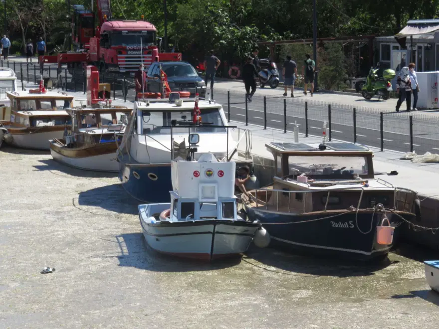İstanbul'da Kurbağalıdere'yi de deniz salyası kapladı 13 İstanbul'da Kurbağalıdere'yi de deniz salyası kapladı 13