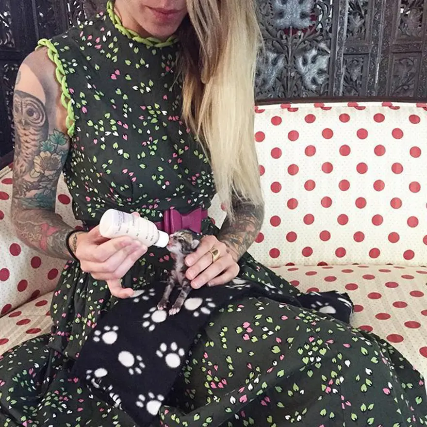 Hayatını kedileri kurtarmaya adadı 283