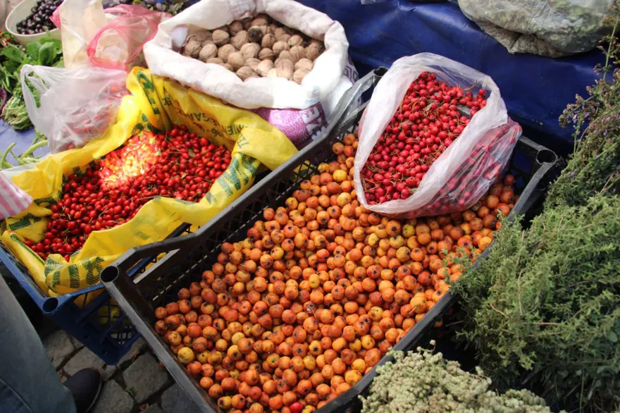 Dikenli ağaçtan tek tek zahmetle toplanıyor: Pazara indi, kilosu 100 TL'den ilgi görüyor Dikenli ağaçtan tek tek zahmetle toplanıyor: Pazara indi, kilosu 100 TL'den ilgi görüyor
