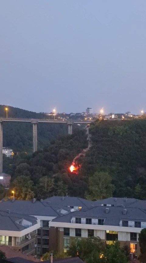 Beykoz'da orman yangını: Yanan cisim ağaçlara düştü