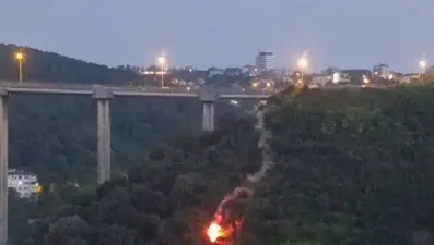 Beykoz'da orman yangını: Yanan cisim ağaçlara düştü