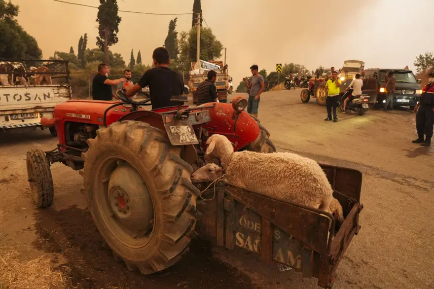 Ödemiş'te kahreden fotoğraflar: Alevlerden kaçış 6 Ödemiş'te kahreden fotoğraflar: Alevlerden kaçış 6
