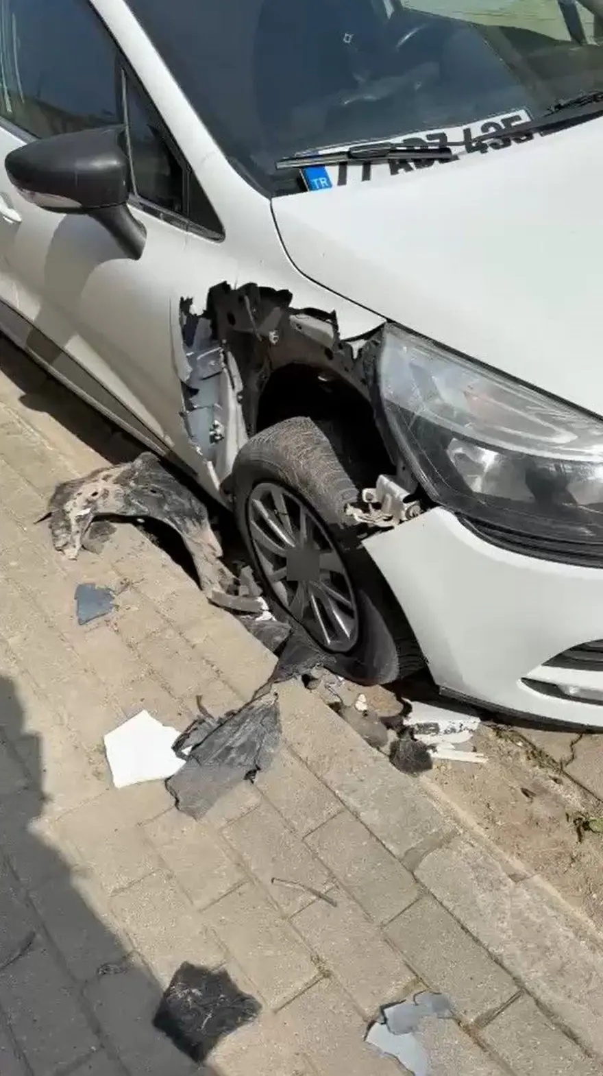Sokak köpekleri otomobili paramparça etti: Hasarın bedelini belediyeden istedi 4 Sokak köpekleri otomobili paramparça etti: Hasarın bedelini belediyeden istedi 4