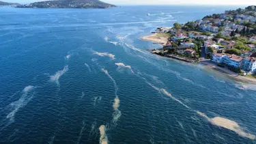 Kınalıada'da müsilaj alarmı